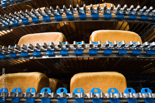 Loafs of bread in a bakery on an automated conveyor belt