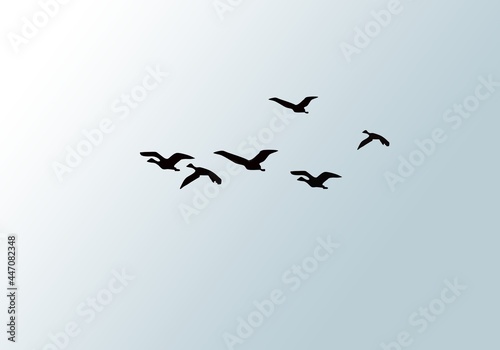 Flying birds silhouettes. Wallpaper, background design
