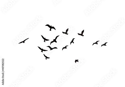 Flying birds silhouettes. Wallpaper, background design © Taty ZT