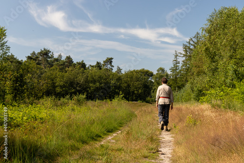 Lone elderly hiker medium wide shot in open forest land © IHX