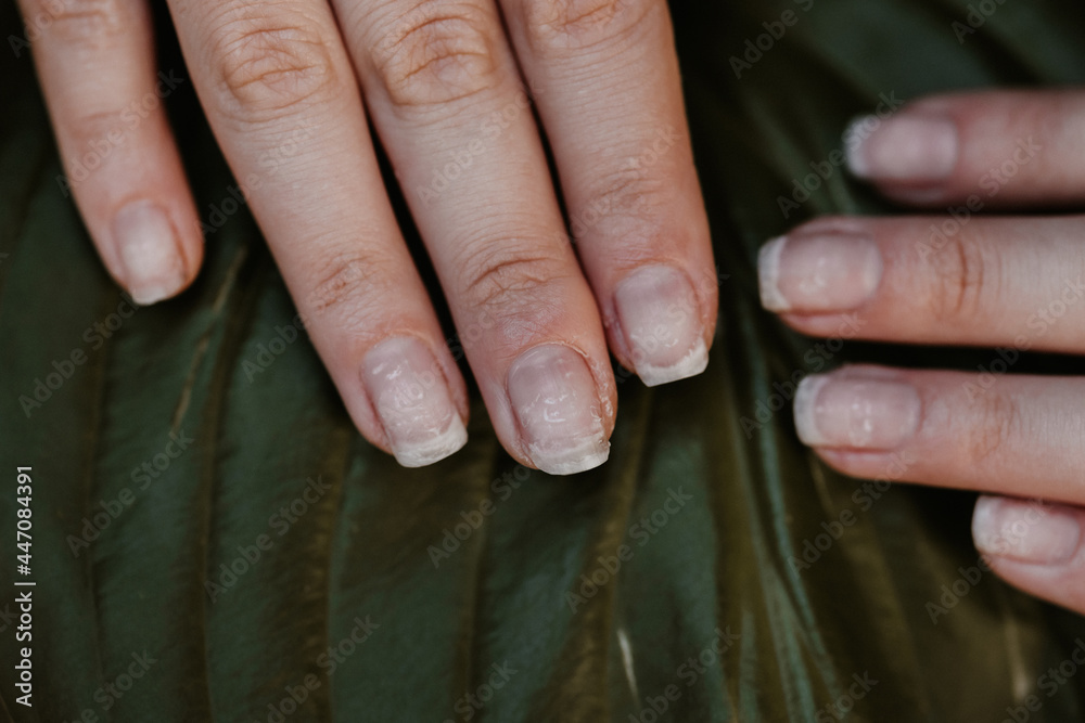 Как выглядят ногти после маникюра Studio Olesya Lukyanchenko, nail salon, Rostov-on-Don, Serafimovicha Street, 11/