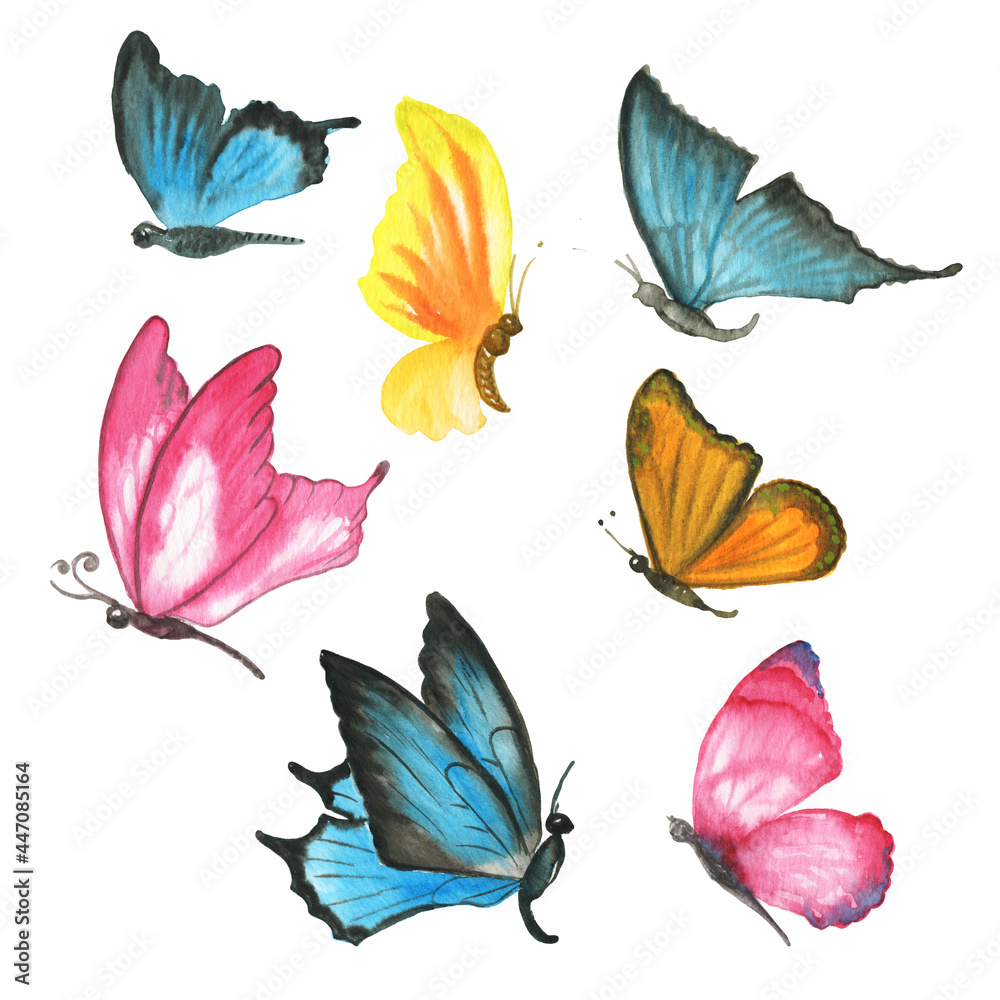 Watercolor clipart, cute butterflies. Colorful insects in summer.Watercolor Butterflies Clip Art. Colorful Cute Design. 