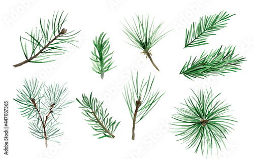 Coniferous tree branches watercolor elements set. Template for decorating designs and illustrations.
