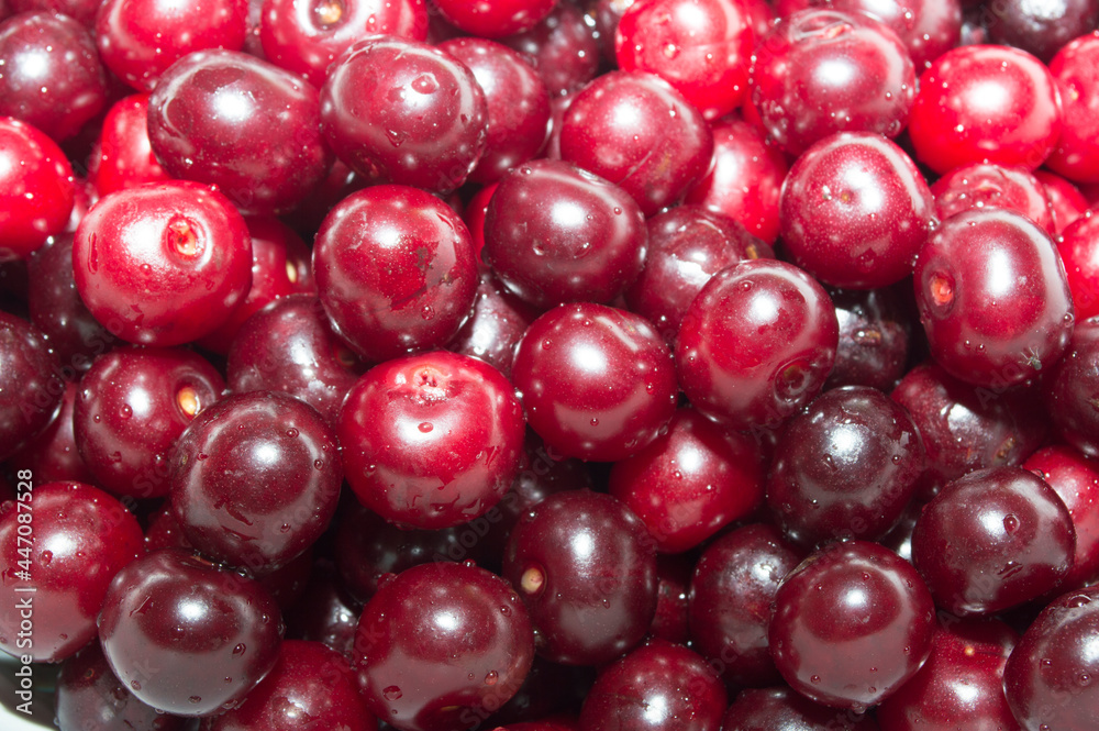 Ripe cherry berry close - up in bulk. Fruit texture for wallpaper. Ripe cherry berry close - up in bulk. Fruit texture for wallpaper.