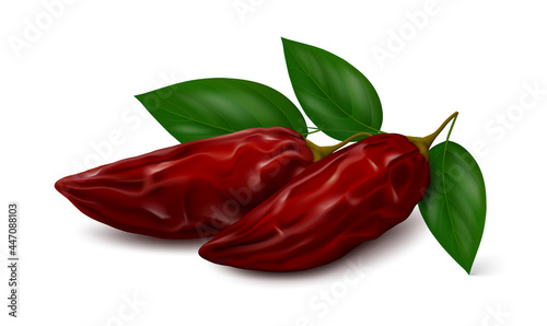 Two smoke-dried red jalapeño chili pepper pods (chipotles) with three green leaves isolated on white background. Realistic vector illustration.