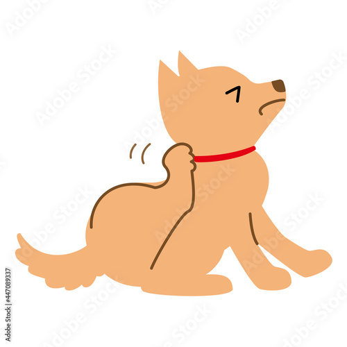 犬　健康　病気　かゆがる　ノミ　イラスト素材