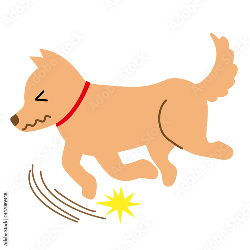 犬　健康　病気　つまずく　すべる　イラスト素材