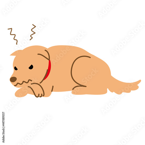犬　健康　病気　機嫌が悪い　イライラ　イラスト素材
