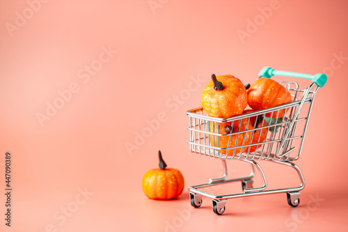 Seasonal mini pumpkins vegetable in shopping cart on pink background. Autumn harvest festival. Thanksgiving day background