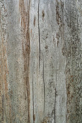 patterns and texture of old wood © DANIL