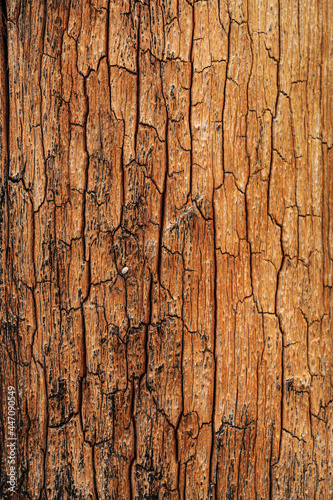 patterns and texture of old wood