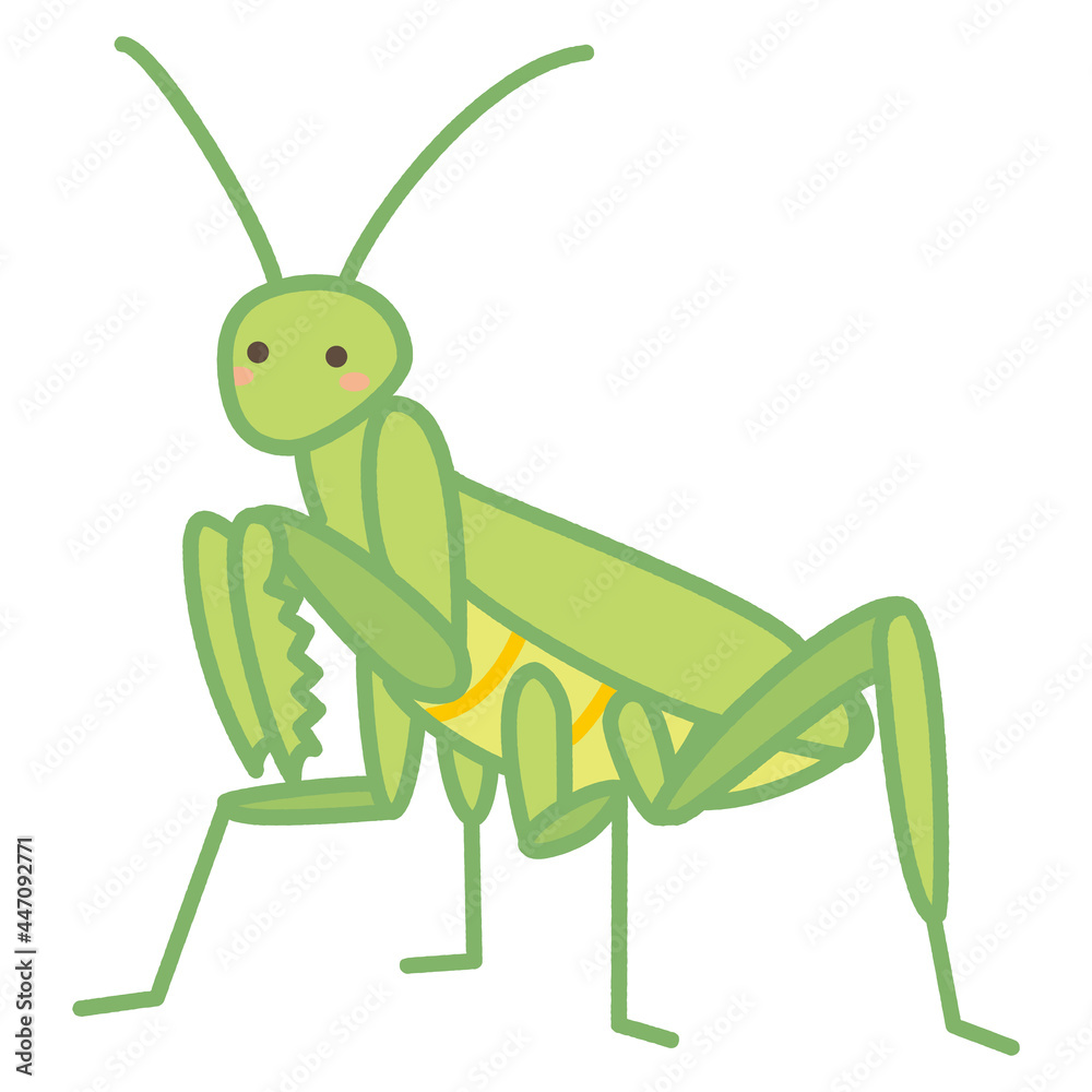 カマキリ かわいいイラスト Stock Vector Adobe Stock