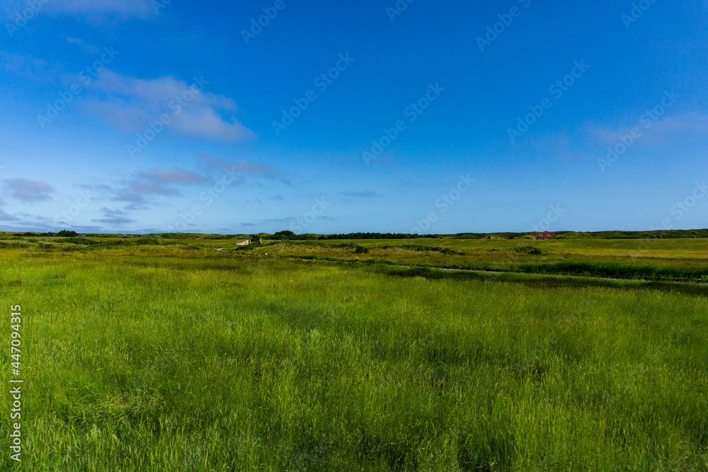Fototapeta premium Wangerooge