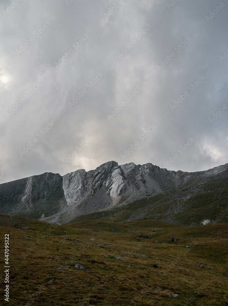 White and silver stone mountains with grass in the foreground. In the Pyrenees Coma de Vaca valley and Vallter mountains. White and silver stone mountains with grass in the foreground. In the Pyrenees Coma de Vaca valley and Vallter mountains.