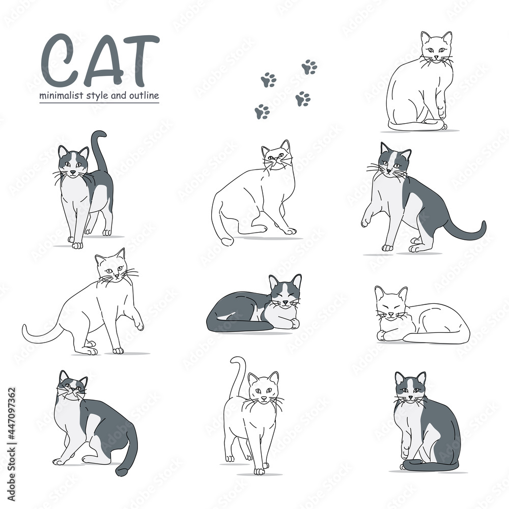 illustration of black-white cat with various poses. with a minimalist style and outline. vector