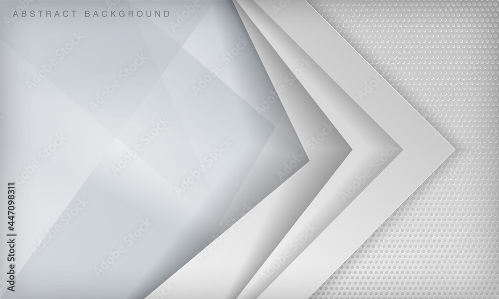 Obraz premium White abstract dimension papercut layer background.