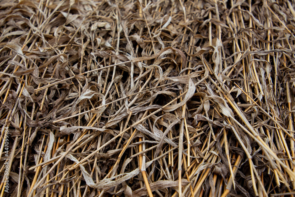 Dry straw for natural brown background Dry straw for natural brown background