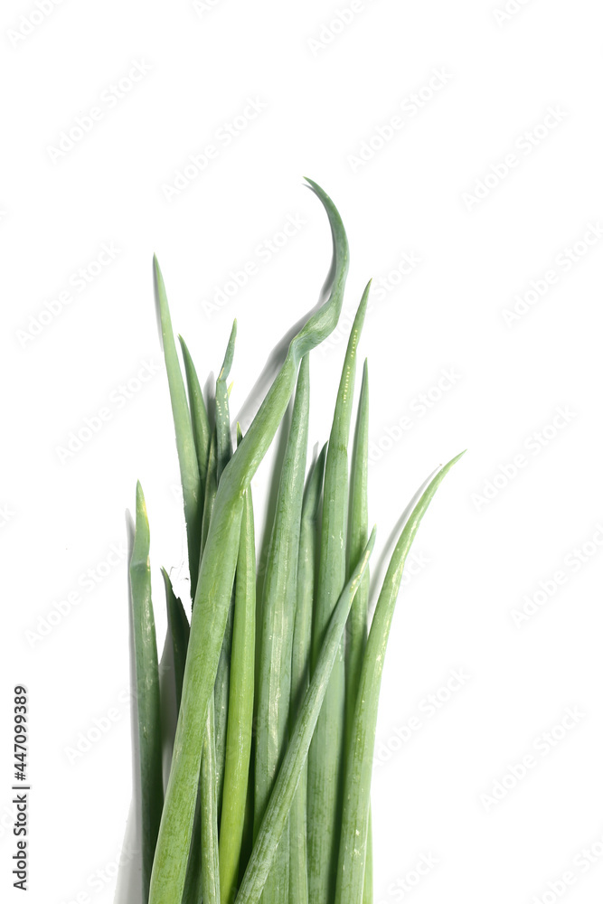 sprouting onion isolated on white background flat lay