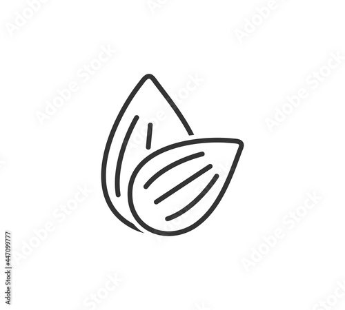 Almond icon. Nut vector illustration isolated on white background.