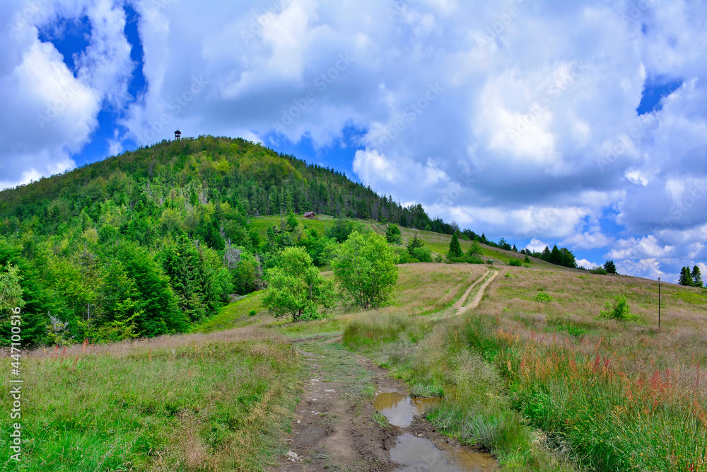 Mountain summer landscape, with mountain peak covered with forest,  ground road  and a cloudy sky.
Summer view of the Mogielica peak and the lookout tower,  Poland