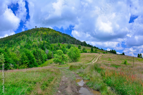 Fototapeta Naklejka Na Ścianę i Meble -  Mountain summer landscape, with mountain peak covered with forest,  ground road  and a cloudy sky.
Summer view of the Mogielica peak and the lookout tower,  Poland