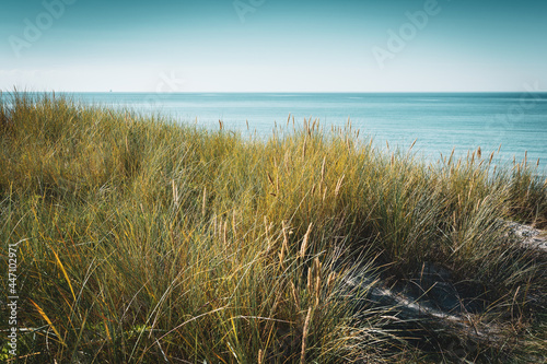 Strand D  ne an der Ostsee K  ste im Sommer