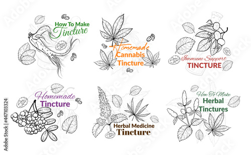 Collection engraved monochrome tincture labels vector flat illustration homemade herbal medicine