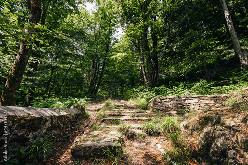 Cossogno, Verbania / Italy - June 2021: Ancient steps covered with woodland vegetation