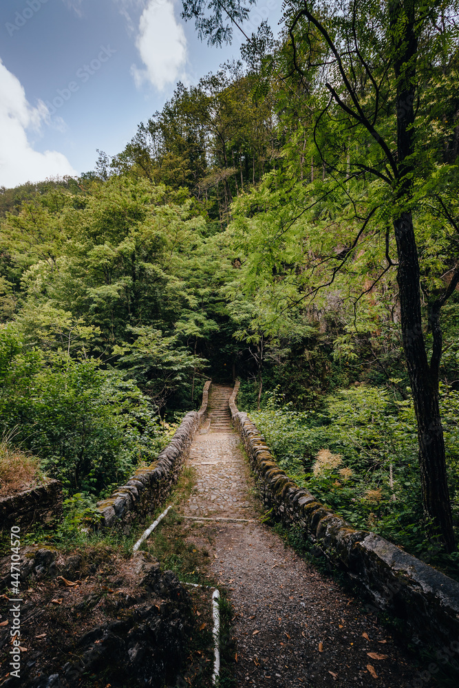 Cossogno, Verbania / Italy - June 2021: Ancient stone bridge (Roman bridge) surrounded by nature Cossogno, Verbania / Italy - June 2021: Ancient stone bridge (Roman bridge) surrounded by nature