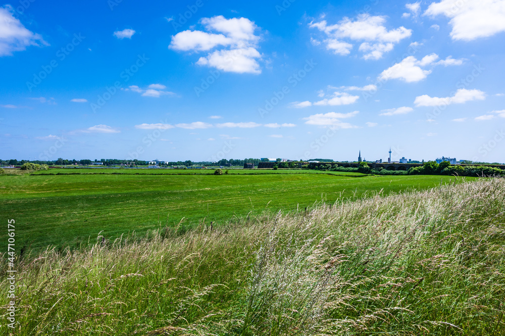 Blick über die Rheinwiesen auf die Kreisstadt Wesel am Niederrhein (NRW)