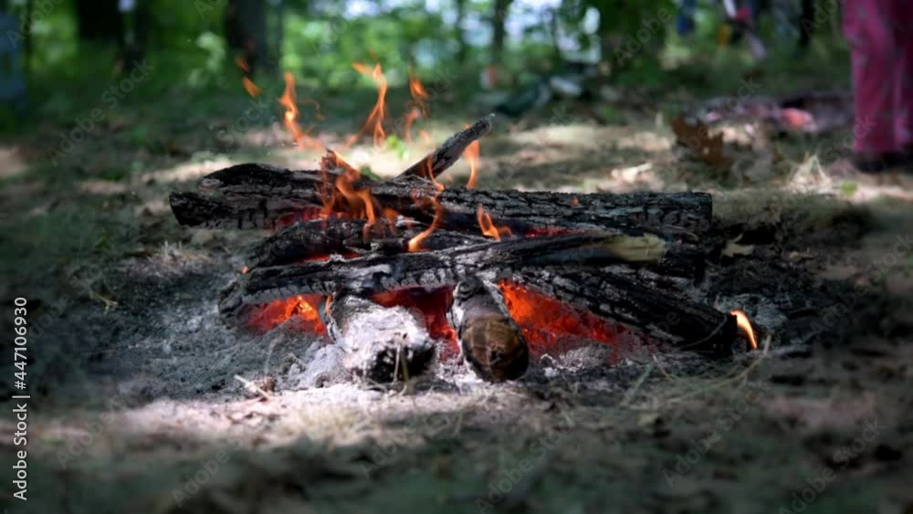 Burning campfire in the night forest, bonfire flames at night, start campfire with just wood Burning campfire in the night forest, bonfire flames at night, start campfire with just wood