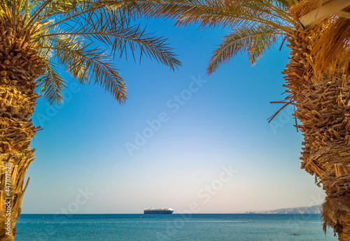 Frame of palm branches at morning on sandy beach in Eilat - famous tourist re...