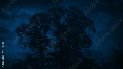 Lightning Strikes Behind Tree In Rain Storm photo