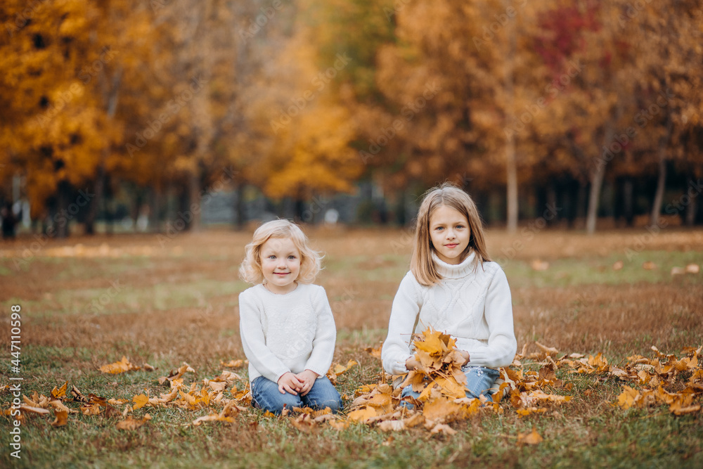 happy children play autumn park up fallen happy children play autumn park up fallen