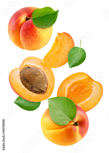 Apricot fruit with apricot leaf isolated