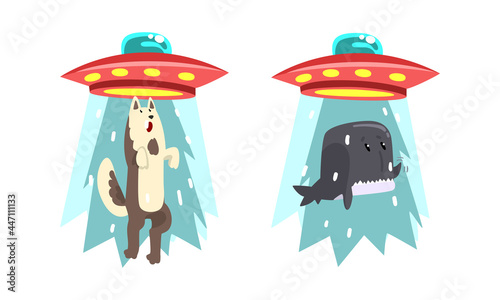UFO Abducting Animals Set, Alien Spacecraft Stealing Wolf and Whale Cartoon Vector Illustration