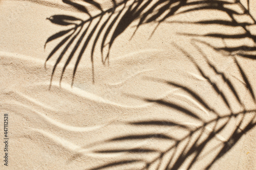 Sand texture. Sandy beach with palm shadow for product background. Top view