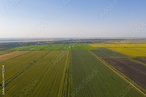 Fototapeta Naklejka Na Ścianę i Meble -  Drone flies over farm land