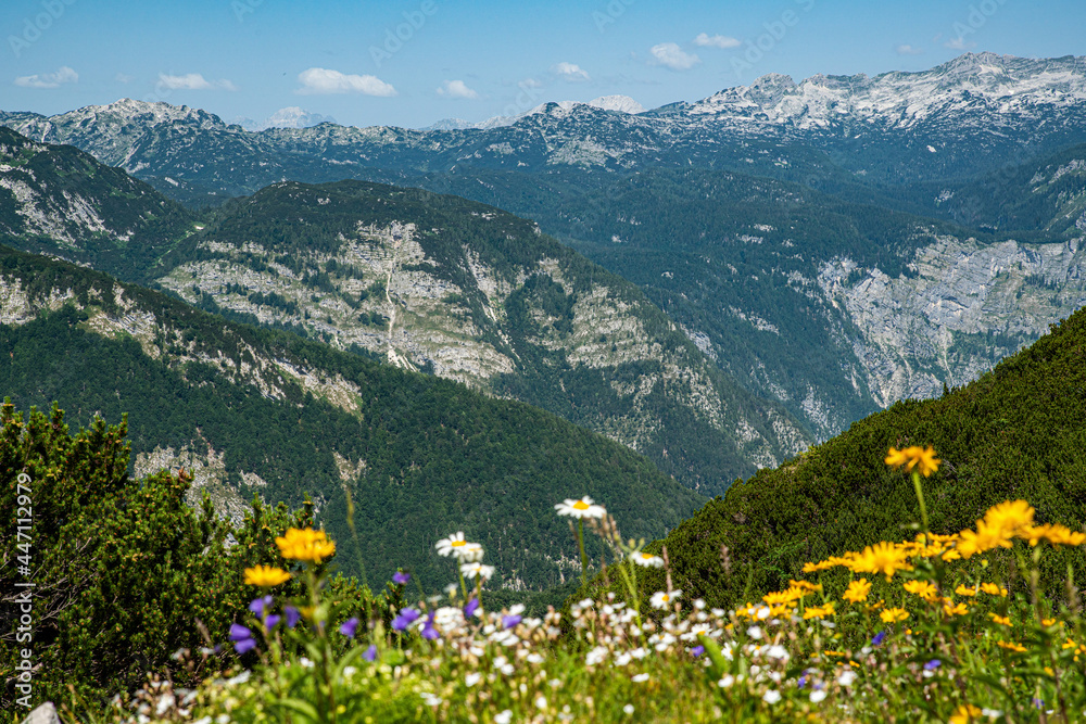 Slowenien Naturschutzgebiet Wandern Blumen Berge Sommer 2021