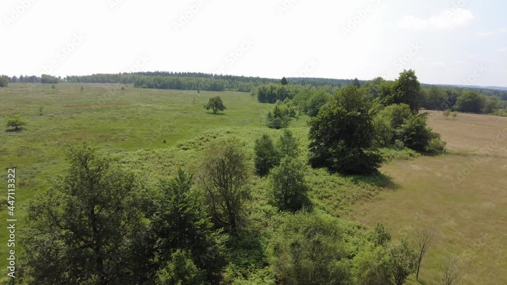 landscape with forest near Spa in the Belgian Ardennes landscape with forest near Spa in the Belgian Ardennes