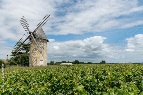 MEDOC (Gironde, France), moulin dans les vignes photo