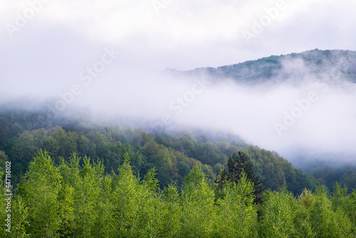 morning fog in the mountains. A natural phenomenon. ecological nature. The forests are covered with fog in the summer season.