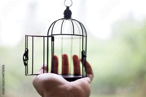 Close up open bird cage on hand : freedom concept