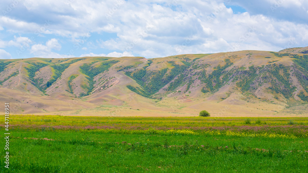 Rural landscape in Raimbek region, Kazakhstan. Road A-351