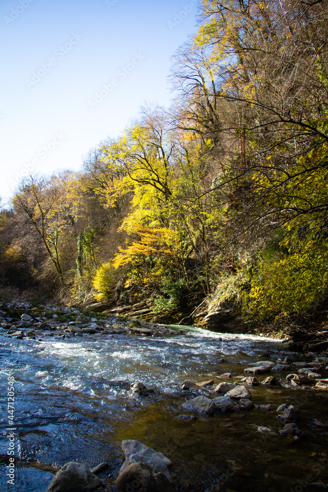 Blue river water and grey mountains with green woods Blue river water and grey mountains with green woods