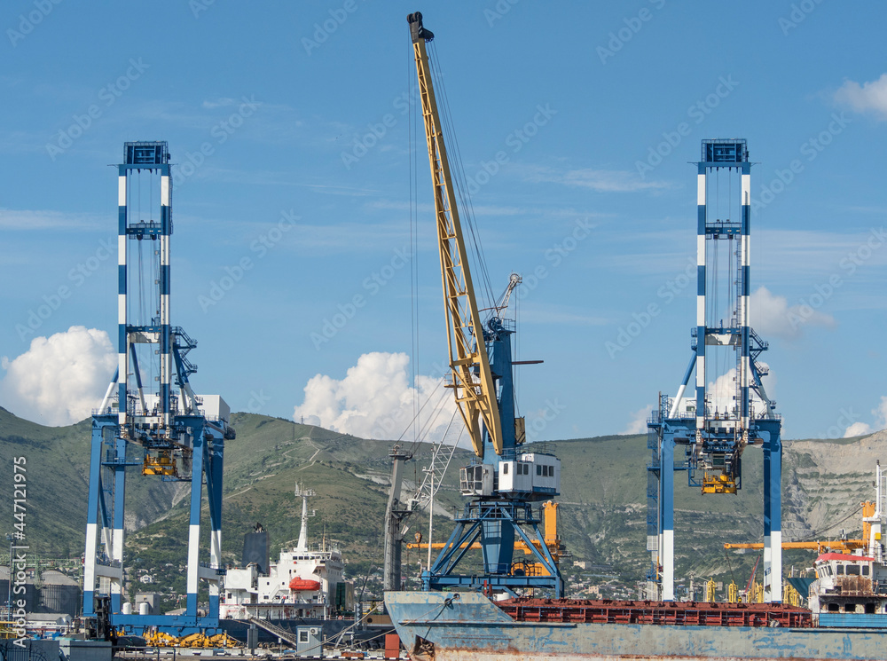 Industrial sea port with shipping terminal, boats and loading cranes