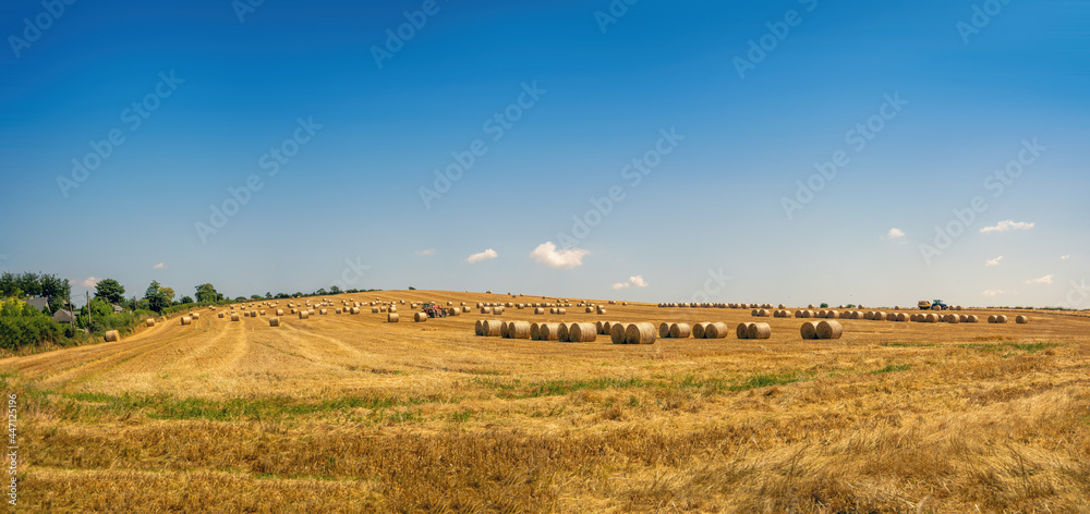 Panoramic view of straw bales in the field on sunny  day