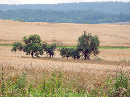 Rentweindorf