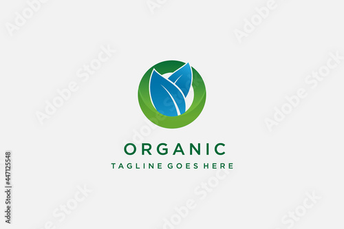 logotype letter O with leaf in green color for herbal . organic, botanical. vegan logo design illustration template