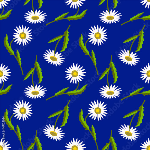 Camomile flowers seamless pattern, vector graphic.